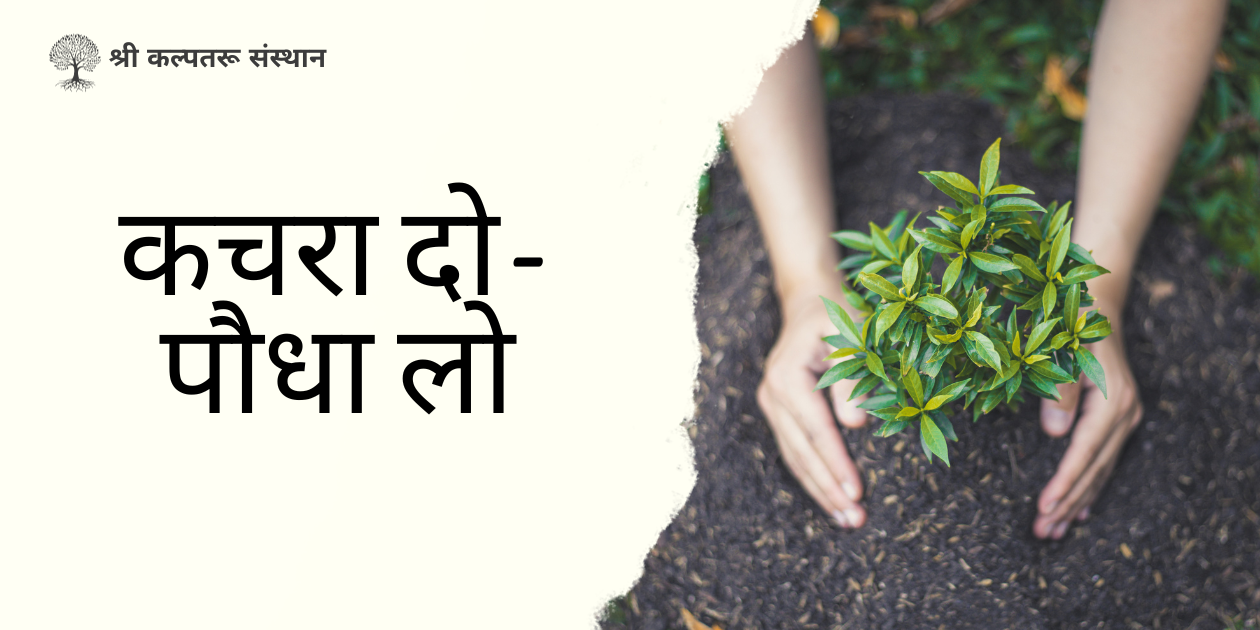 कचरा दो पौधा लो अभियान सामाजिक कार्यकर्ता उमा व्यास के नेतृत्व में चल रहा 3 कचरा दो - पौधा लो