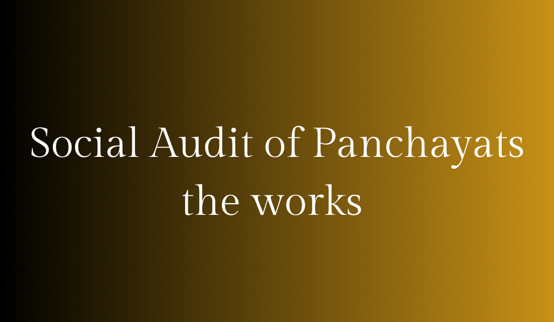 Social Audit