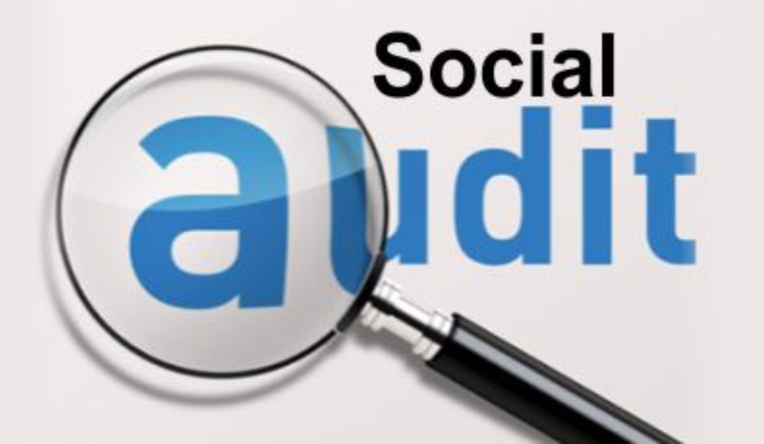  Social Audit