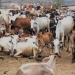 Mau Block में भरण-पोषण का पैसा न मिलने पर आक्रोश