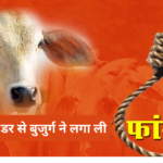 Bhitarwar: गौ हत्या के डर से घबराए बुजुर्ग ने फांसी लगा ली