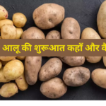 क्या आप जानते है? आलू की खेती सबसे कहाँ शुरू हई- Dr. Singh
