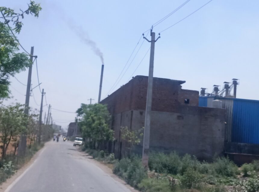 Rice Mill Pollution: राइस मिल उगल रहे 'मौत' की हवा, अफसरों की खामोशी से कहीं थम न जाए सांसें
