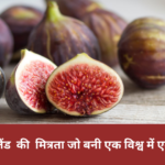 Fig Export: भारत ने पोलैंड के साथ बड़ाई व्यापार की मित्रता, जो बनी एक विश्व में एक मिशाल