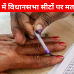 Haryana Assembly Elections