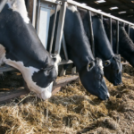 Screenshot 2025 03 28 151343