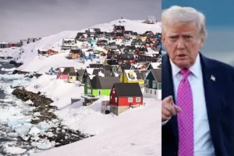 trump greenland